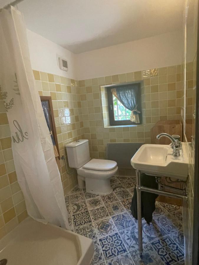 La Maison De Platane B&B Fayence Zewnętrze zdjęcie